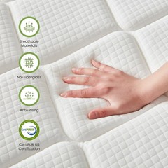 EDX Queen Hybrid Mattress, 10 Inch, Individually Pocketed Springs, Memory Foam,