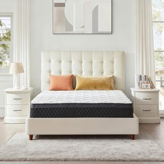 EDX Queen Hybrid Mattress, 10 Inch, Individually Pocketed Springs, Memory Foam,