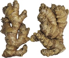 Live 10 Rhizomes of Edible Ginger Roots Organic Zingiber Officinale for Growing