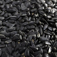 [3 PACK] Roasted Sunflower Seeds Babkini Семечки Russian US Seller 17.63oz/500g