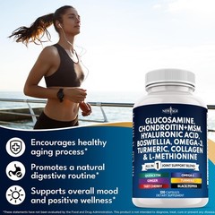 Glucosamine Chondroitin MSM Turmeric Curcumin Collagen Hyaluronic Acid