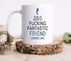 This is what a Fucking fantastic Friend looks like | Valentines Day Gift idea