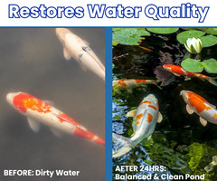 2Pcs AEXZR Water Clarifier Aquaculture Water Purifying Treatment