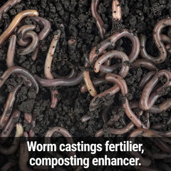 2.5 Lbs. 250 Sq. Ft. Worm Magic Worm Castings Organic Soil Amendment 2.5 Pound G