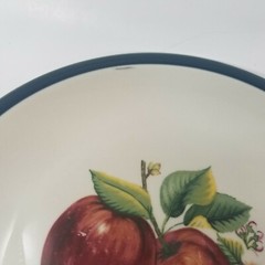 Apple Blossom Casuals China Pearl (4) Dinner 10.25″ and (4) Salad Plates 7.75″