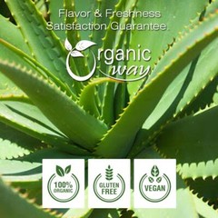 Organic Way Aloe Vera Powder (Aloe barbadensis) – Organic & Kosher Certified
