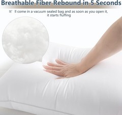 Pillow Queen Supportive Bed Pillow for Side Back Sleepers OEKO-TEX 2 Pack