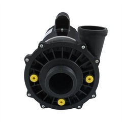 Executive 56-Frame 4HP Dual-Speed Spa Pump, 2in Intake, 2in Discharge