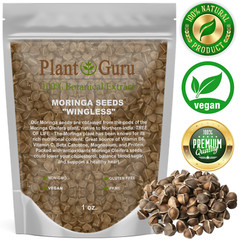 Moringa Oleifera Seeds 1 oz. Each WINGLESS & SHELLED Fresh Semillas De Moringa