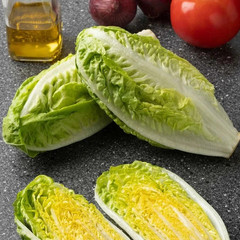 500+ Little Gem Butterhead Lettuce Seeds ————– Heirloom — Organic