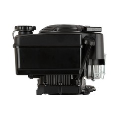 Briggs & Stratton Professional 10 GT 223cc Vertical Engine | 14D932-0110-F1