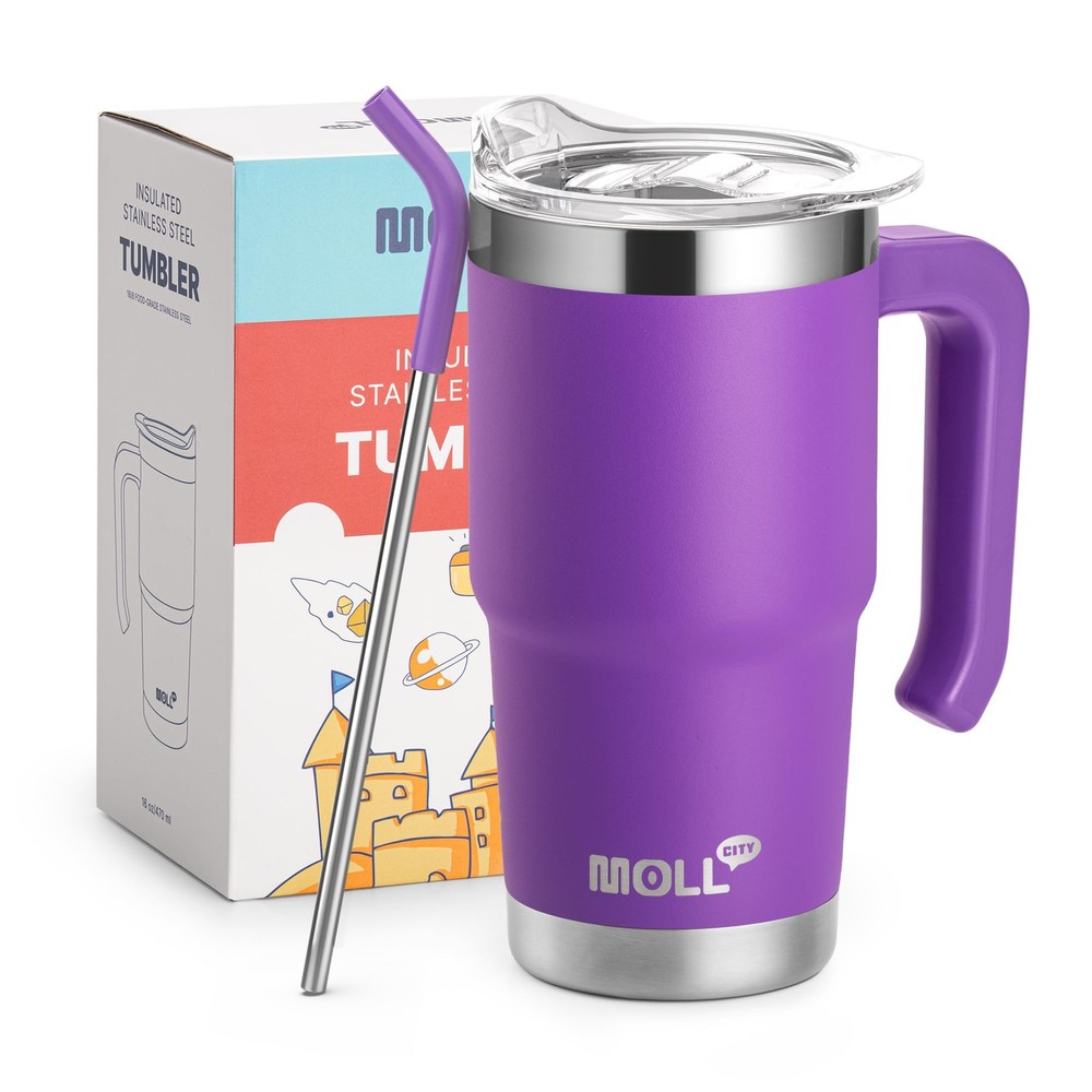 16 oz Tumbler with Handle-Stainless Steel Double Wall Vacuum Insulated Water …