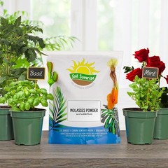 Dry Horticultural Molasses Powder, Indoor/Outdoor Garden Plant Soil Amendment