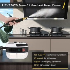 2500W Handheld Car Detailing Cleaning Machine High Temp Steam Cleaner Household
