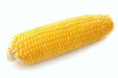50 KANDY KORN CORN Sweet Yellow Corn Red Husk H.S.E. Zea Mays Vegetable Seeds