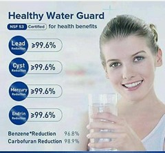 US- 2 PACK GE MWF MWFP 46-9991 GWF Smartwater Genuine Refrigerator Water Filter