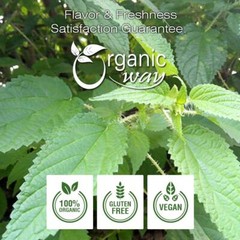 Organic Way Nettle Leaf Cut & Sifted – Herbal Tea | Kosher & USDA Certified
