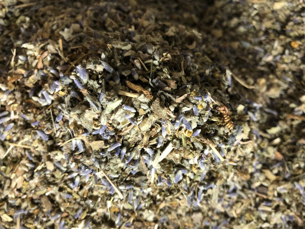 No.33 Herb Blend – Wild Lettuce Lavender Flower Passionflower Mullein – 1 2 4 oz