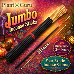 LAUNDRY DETERGENT #2 Incense Sticks 19″ Jumbo Extra Large Bulk Handmade