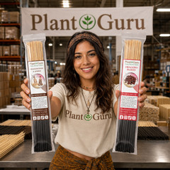 BALSAM AND CEDAR Incense Sticks 11″ Bulk Pack Wholesale Hand Dipped Lot