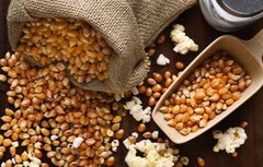 Bulk Reist Popcorn Kernels, Mushroom, Yellow and White Butterfly, Organic