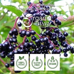 Organic Way Dried Elderberry Whole – Organic, Kosher & USDA Certified