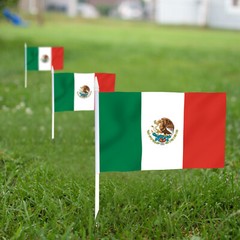 Anley 12 Pack Mexico Mini Flag – Hand Held Small Miniature Mexican Flags 5×8 in.