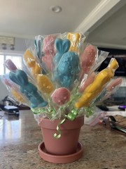 Amazing Lollipop Displays! 2 For $20 NOT AVAILABLE IN STORES! Amazing!