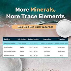Baja Gold Mineral Sea Salt Natural Grain Crystals 1 Lb. Bag