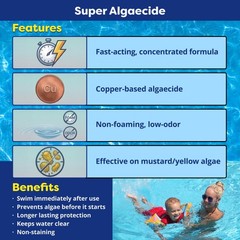 In The Swim Super Algaecide For Above Ground or Inground Swimming Pools – Low