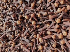 Red Cloves Lal Pari Laung Whole Spice Aromatic Premium Quality 250g Free Ship
