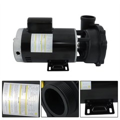 Executive 56-Frame 4HP Dual-Speed Spa Pump, 2in Intake, 2in Discharge