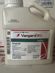 Vangard (WG )FUNGICIDE