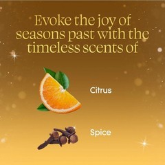 Glade PlugIns Refills Air Freshener, Orange Zest Clove, 5 Count