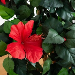 4’ Artificial Hibiscus Flowering Tree in Black Pot Planter, Red/Green Decor