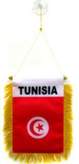 Wholesale lot 12 Tunisia Mini Flag 4″x6″ Window Banner w/ suction cup