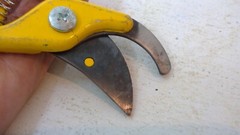 Vintage Hand Pruner Pruning Garden Shears 8” Steel Parrot Beak Yellow