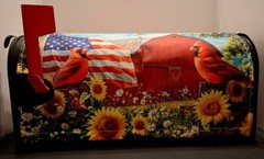 Magnetic Patriotic Cardinals Mailbox Cover – July 4th /anytime ( 21″ x 18″)