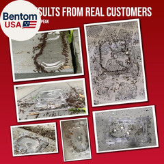 DEFIANT Reusable Ant Traps Indoor Refill (16 Pack) – Effective Liquid Ant Killer