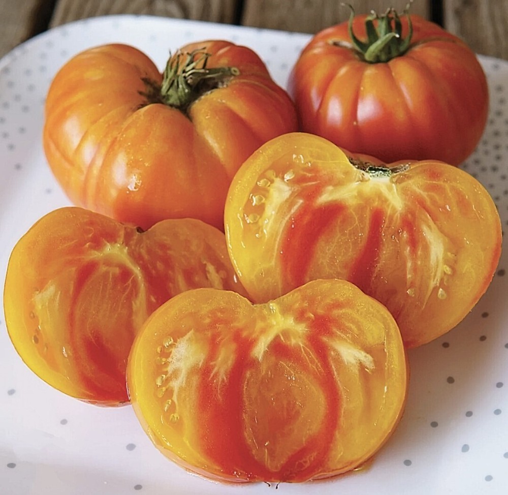Pineapple Tomato Seeds, NON-GMO, Heirloom, Bi-Colored Beefsteak, FREE SHIPPING