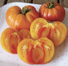 Pineapple Tomato Seeds, NON-GMO, Heirloom, Bi-Colored Beefsteak, FREE SHIPPING