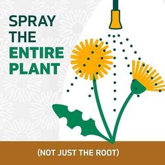 Spruce Snap & Spray Weed & Grass Killer 64oz Refill, Results in 1 Hour Free Ship