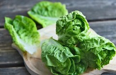 1200+ Parris Island Romaine Lettuce Seeds | Non-GMO Lettuce Seeds