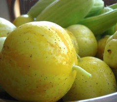 100 LEMON CUCUMBER Cucumis Sativus Fruit Vegetable Seeds *Combined S/H