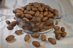 Pecans In-Shell 2.5 lbs Utah Grown Paper Shell Pecan 2023-’24 Crop Free Shipping