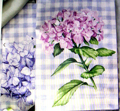 WILLIAMS SONOMA HYDRANGEA GINGHAM NAPKINS 100% COTTON TWILL SET OF 4 FOUR NWTAG