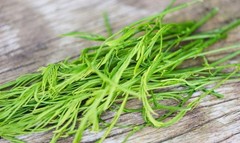 Climbing Wattle 5 Seeds Senegalia Pennata Cha-Om Acacia Pennata From Thailand
