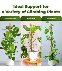 2 Pk 48” Bendable Moss Pole For Monstera Plant Coir Climbing Plant Support Stick