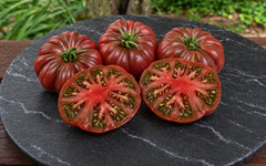 100 Rare Heirloom Purple Calabash Tomato Seeds – The Ultimate Purple Heirloom