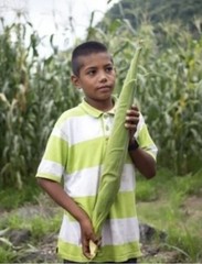 Nayarit Jala Rojo Corn Seeds (50) / Mexican Heirloom / Super Rare